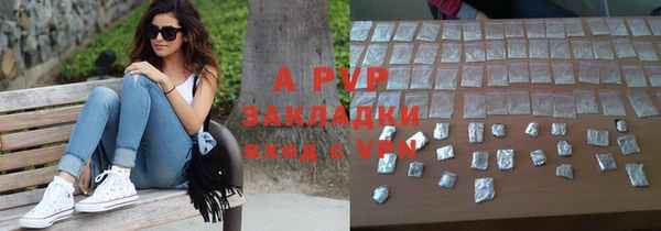 прущие грибы Арсеньев