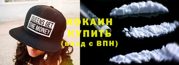 прущие грибы Арсеньев