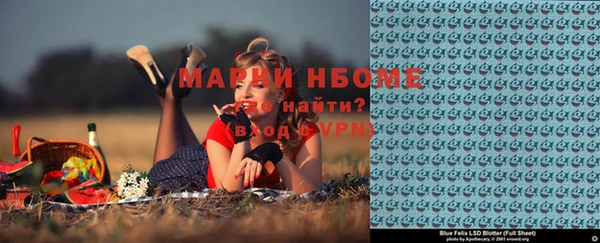 ГАЛЛЮЦИНОГЕННЫЕ ГРИБЫ Аркадак